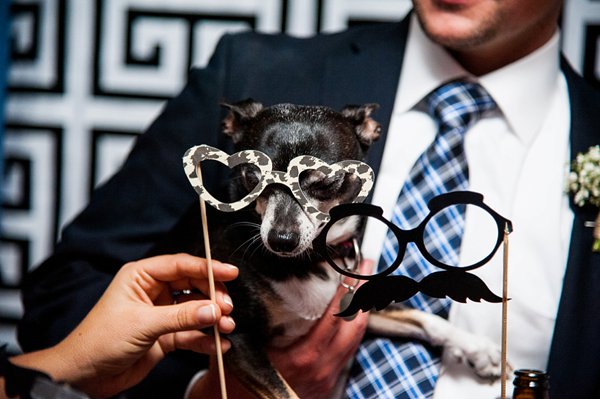Hotel Monaco Baltimore Wedding  ||  Robin Shotola Photography  ||  Charm City Wed  ||  www.charmcitywed.com