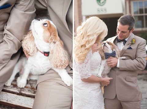 Admiral Fell Inn Wedding || Brooke Tyson Photography || Charm City Wed || www.charmcitywed.com