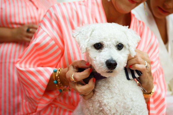 Hunt Valley Golf Club Wedding Photos  ||   Cinematic by David M  ||  Charm City Wed  ||   www.charmcitywed.com