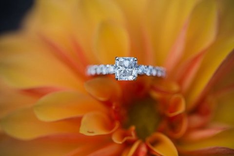 Same-sex engagement photos  ||  Photography by Brea ||  Charm City Wed  ||   www.charmcitywed.com