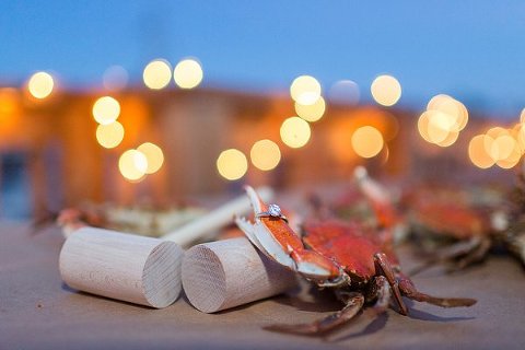 Crabby Baltimore Engagement Photos  ||  Anna Grace Photography  ||  Charm City Wed   ||  www.charmcitywed.com