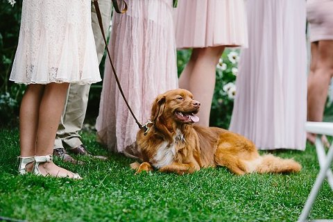 Union Mills Homestead Wedding  ||  James Garrett Photography  ||  Charm City Wed  ||  www.charmcitywed.com