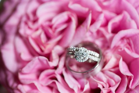 Celebrations at the Bay Wedding Photos  ||   Carly Fuller Photography  ||  Charm City Wed  ||  www.charmcitywed.com