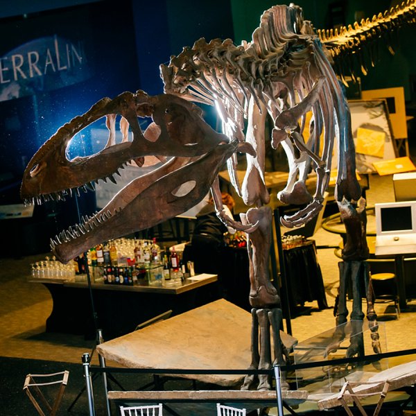 Maryland Science Center Wedding ||  Rachel Smith Photography  ||  Charm City Wed  ||  www.charmcitywed.com