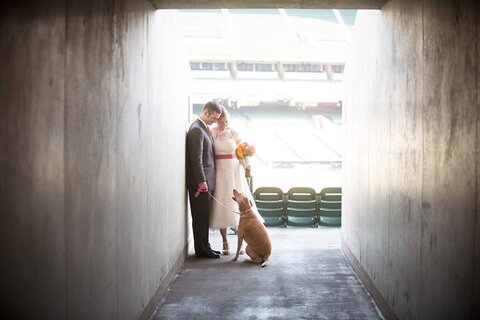 Orioles Themed Wedding  ||  Daniel McGarrity Photography  ||  Charm City Wed  ||  www.charmcitywed.com