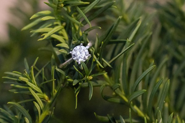 Beautiful Engagement Ring  ||  Brooke Tyson Photography  ||  Charm City Wed  ||   www.charmcitywed.com