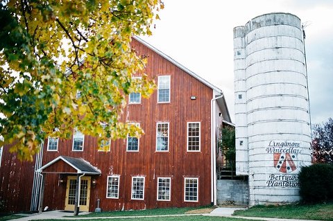 Linganore Winecellars Wedding  ||  Frozen in Time Photography  ||  Charm City Wed  ||  www.charmcitywed.com
