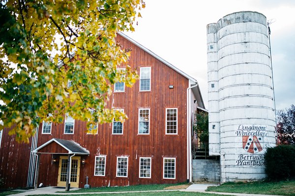 Linganore Winecellars Wedding  ||  Frozen in Time Photography  ||  Charm City Wed  ||  www.charmcitywed.com