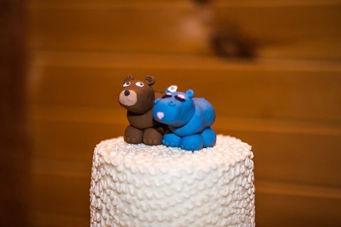 Linganore Winecellars Wedding  ||  Frozen in Time Photography  ||  Charm City Wed  ||  www.charmcitywed.com