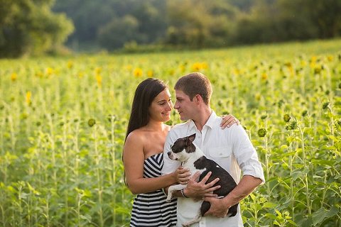 Sunflower Fields Engagement Photos  ||  Anna Schmidt Photography  ||  Charm City Wed  ||  www.charmcitywed.com