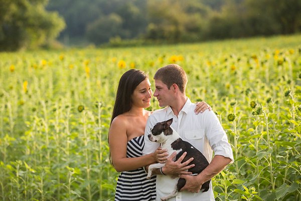 Sunflower Fields Engagement Photos || Anna Schmidt Photography || Charm City Wed || www.charmcitywed.com Sunflower Fields Engagement Photos || Anna Schmidt Photography || Charm City Wed || www.charmcitywed.com