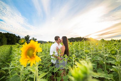 Sunflower Fields Engagement Photos  ||  Anna Schmidt Photography  ||  Charm City Wed  ||  www.charmcitywed.com