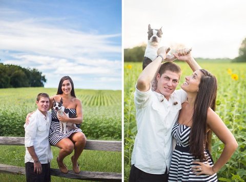 Sunflower Fields Engagement Photos  ||  Anna Schmidt Photography  ||  Charm City Wed  ||  www.charmcitywed.com