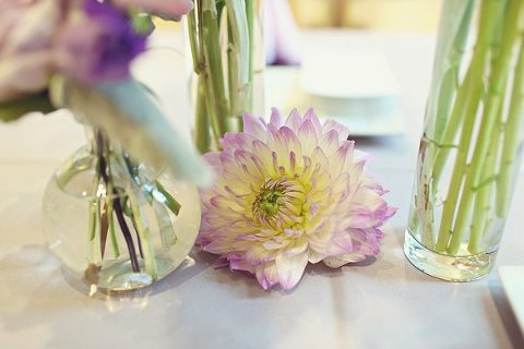 Wedding at the Cylburn Arboretum  ||  misa*me photography  ||  Charm City Wed  ||  www.charmcitywed.com