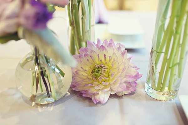 Wedding at the Cylburn Arboretum || misa*me photography || Charm City Wed || www.charmcitywed.com Wedding at the Cylburn Arboretum || misa*me photography || Charm City Wed || www.charmcitywed.com