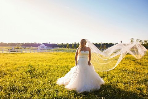 Wye River Estate Wedding  ||  Kathleen Hertel Photography  || Charm City Wed  ||  www.charmcitywed.com