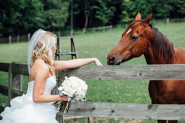Bride & horse Wedding || Bradley Images || Charm City Wed || www.charmcitywed.com