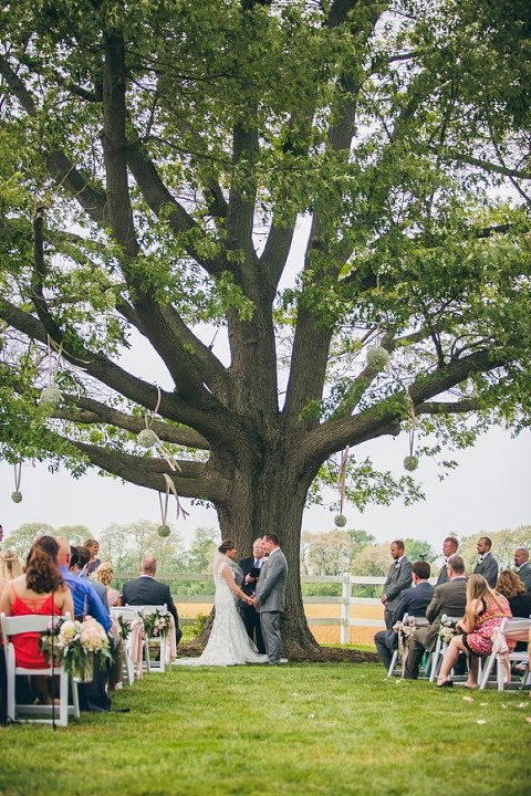 Running Fox at Brittland Estates Wedding || Intrinsic Events || Tyler Lyons Photography || Charm City Wed || www.charmcitywed.com