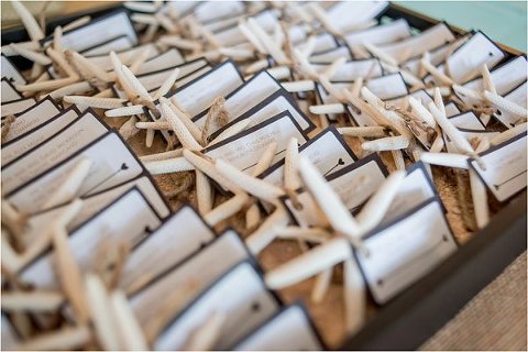 Donaldson Brown Center Wedding || Brittney Nestle Photography || Charm City Wed || www.charmcitywed.com