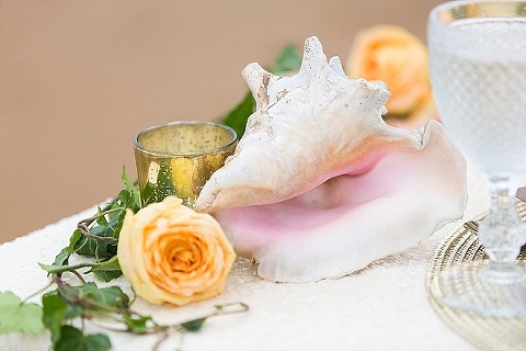 Elk Manor Winery Wedding Styled Shoot || tPoz Photography || Moore & Co Events || Charm City Wed || www.charmcitywed.com