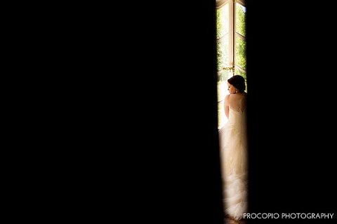 Cylburn Arboretum Wedding || Procopio Photography || Charm City Wed || www.charmcitywed.com