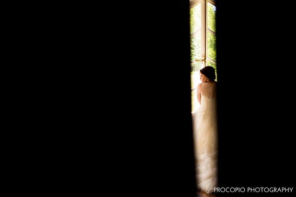 Cylburn Arboretum Wedding || Procopio Photography || Charm City Wed || www.charmcitywed.com Cylburn Arboretum Wedding || Procopio Photography || Charm City Wed || www.charmcitywed.com