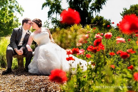 Wedding at Cylburn Arboretum || Procopio Photography || Charm City Wed || www.charmcitywed.com