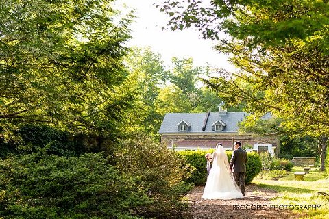 Wedding at Cylburn Arboretum || Procopio Photography || Charm City Wed || www.charmcitywed.com