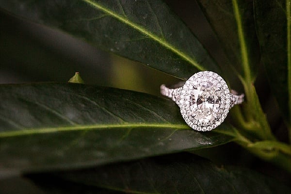 Four Seasons Proposal || Lauren Nievod Photography || Charm City Wed || www.charmcitywed.com Four Seasons Proposal || Lauren Nievod Photography || Charm City Wed || www.charmcitywed.com