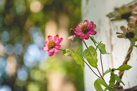 Greendale Farm Wedding || Leah Rhianne Photography || Charm City Wed || www.charmcitywed.com