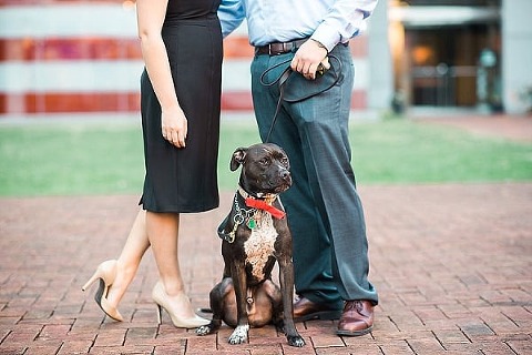 Elegant Carousel Engagement Session || Joy Michelle Photography || Charm City Wed || www.charmcitywed.com