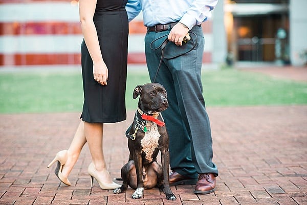 Elegant Carousel Engagement Session || Joy Michelle Photography || Charm City Wed || www.charmcitywed.com