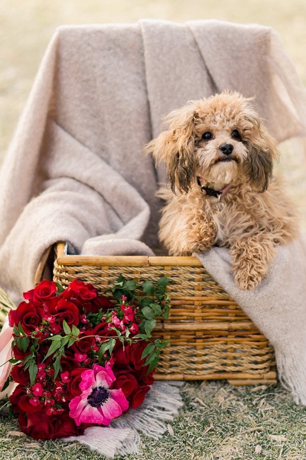 Lakeside Styled Shoot at Bay Hills Golf Club || Adriana Marie Events || Lauren Swann Photography || Charm City Wed || www.charmcitywed.com