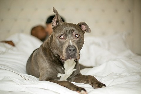 Ravens Engagement Session || B.O.B Photography || Charm City Wed || www.charmcitywed.com