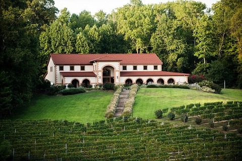 Running Hare Vineyards Wedding || Emily Chastain Photography || Charm City Wed || www.charmcitywed.com