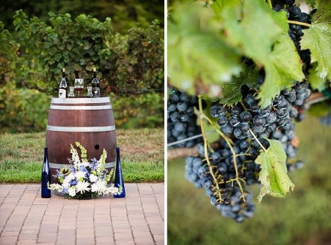 Running Hare Vineyards Wedding || Emily Chastain Photography || Charm City Wed || www.charmcitywed.com