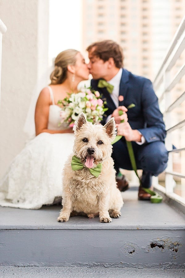 Classic Waterfront Tabrizis Wedding || Lauren Nievod Photography || Charm City Wed || www.charmcitywed.com