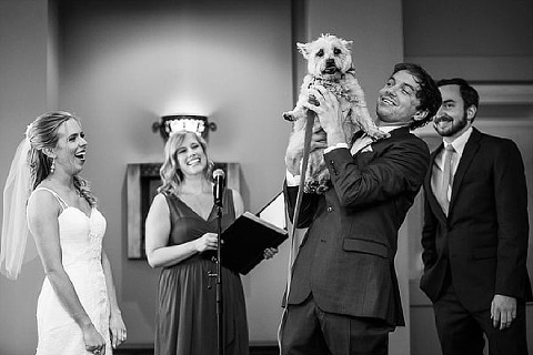 Classic Waterfront Tabrizis Wedding || Lauren Nievod Photography || Charm City Wed || www.charmcitywed.com