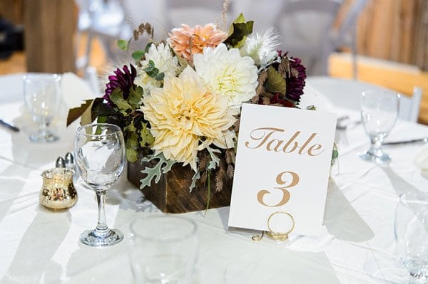 Richardson Farms Wedding || Ashley Michelle Photography || Charm City Wed || www.charmcitywed.com Richardson Farms Wedding || Ashley Michelle Photography || Charm City Wed || www.charmcitywed.com