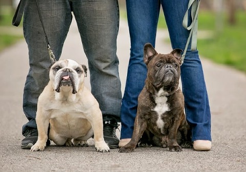Baltimore Museum of Industry Engagement Session || B.O.B Photography || Charm City Wed || www.charmcitywed.com