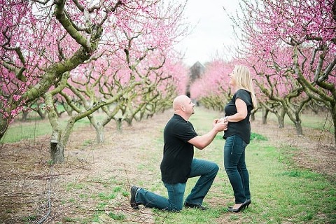 Swann Farm Engagement Session || Joy Michelle Photography || Charm City Wed || www.charmcitywed.com