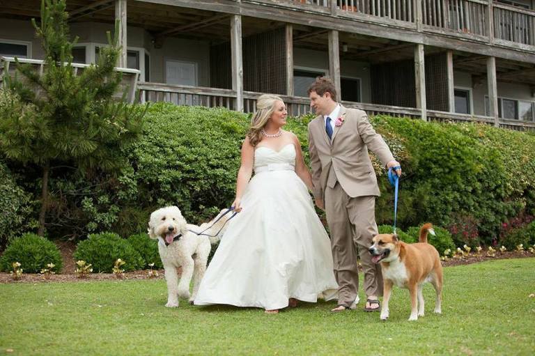 lemon and lime event design wedding dogs