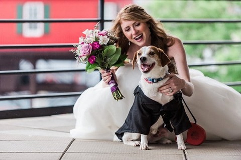 Baltimore Pier 5 Hotel Wedding || Liz Cowie Photography || Charm City Wed || www.charmcitywed.com