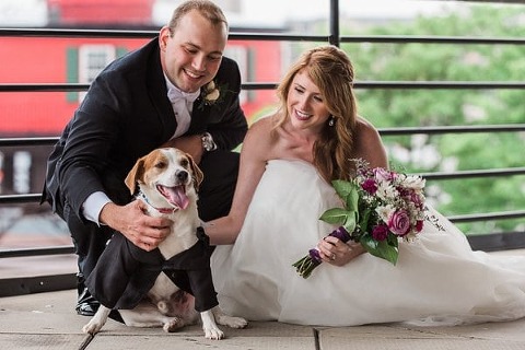 Baltimore Pier 5 Hotel Wedding || Liz Cowie Photography || Charm City Wed || www.charmcitywed.com