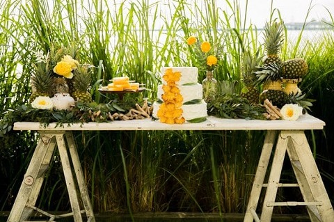 Pineapple Inspiration Chesapeake Bay Beach Club Styled Shoot || Emily Chastain Photography || Charm City Wed || www.charmcitywed.com