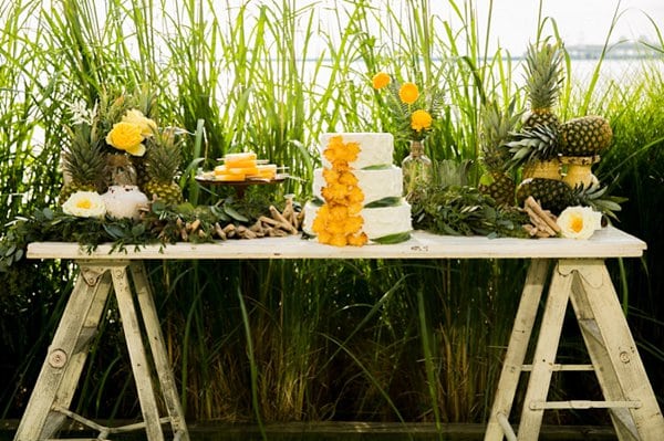 Pineapple Inspiration Chesapeake Bay Beach Club Styled Shoot || Emily Chastain Photography || Charm City Wed || www.charmcitywed.com Pineapple Inspiration Chesapeake Bay Beach Club Styled Shoot || Emily Chastain Photography || Charm City Wed || www.charmcitywed.com