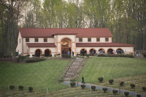 Running Hare Vineyard Wedding || Mike B Photography || Charm City Wed || www.charmcitywed.com