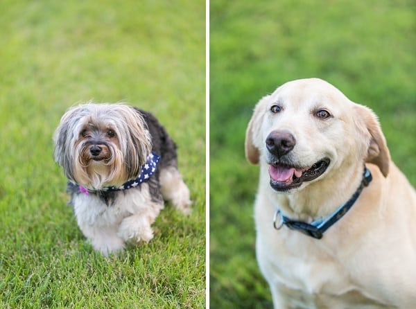 Sparrows Point Engagement Session || TPoz Photography || Charm City Wed || www.charmcitywed.com