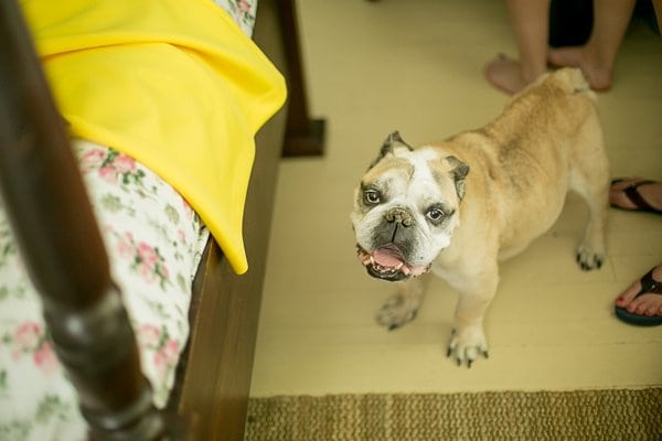 Wades Point Inn Wedding || B.O.B. Photography || Charm City Wed || www.charmcitywed.com Wades Point Inn Wedding || B.O.B. Photography || Charm City Wed || www.charmcitywed.com