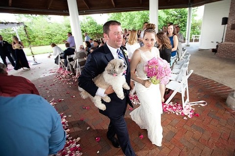 Wedding Dogs || Lemon and lime event design || Charm City Wed || www.charmcitywed.com